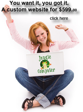 A custom designed website will help your business stand out from the crowd and get you noticed ...