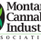 mtcia-logo-small 14-03-32