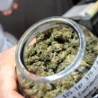 120101084034-medical-marijuana-story-top
